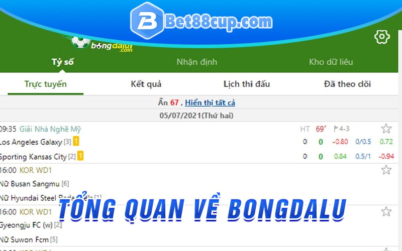 Tông quan về bongdalu 3