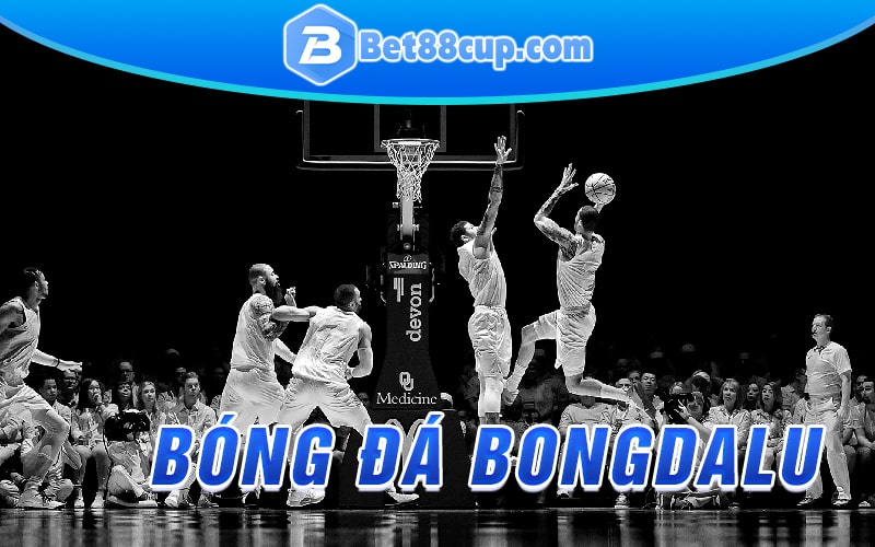 Bóng rổ