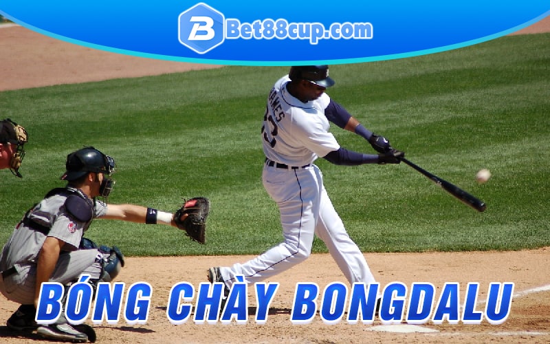 Bóng chày bongdalu 3